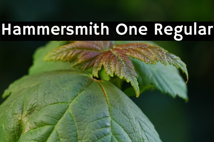 Hammersmith One Regular Example 1