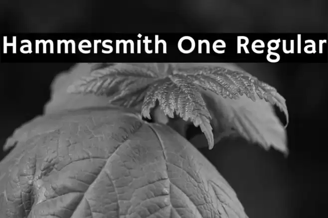 Hammersmith One Regular Шрифта examples