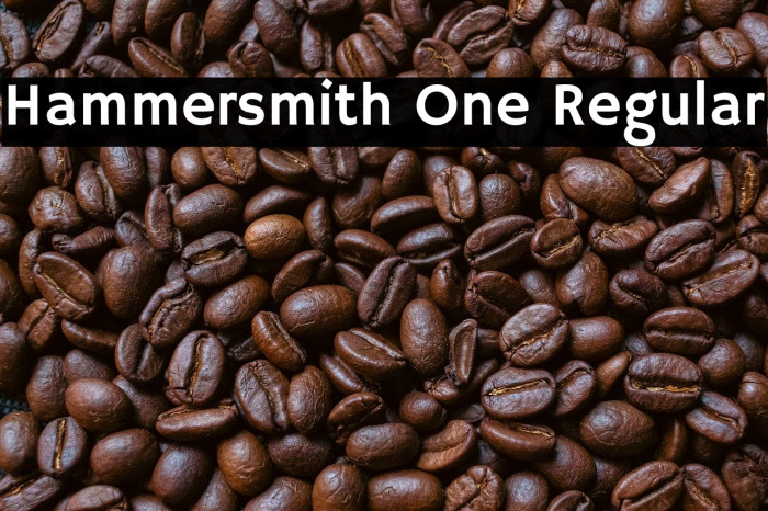 Hammersmith One Regular Example 2