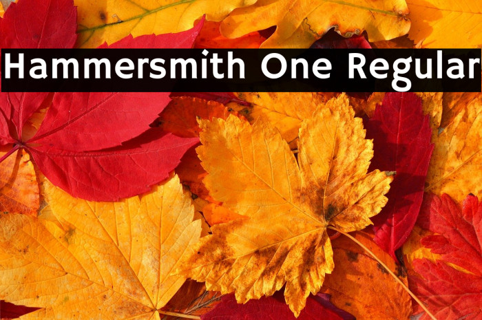 Hammersmith One Regular Example 3