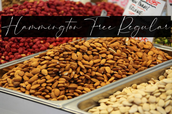 Hammington Free Regular Example 1