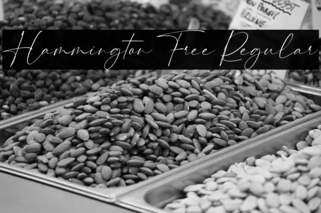 Hammington Free Regular Font examples