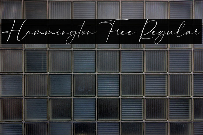 Hammington Free Regular Example 2