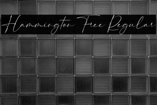 Hammington Free Regular Font examples