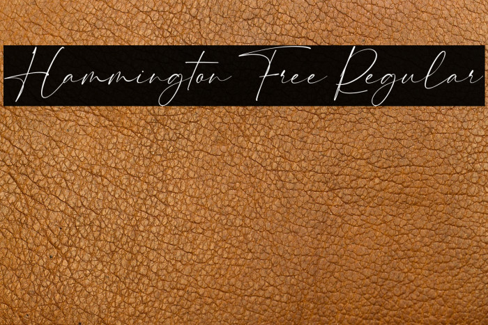 Hammington Free Regular Example 3