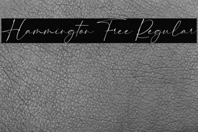 Hammington Free Regular Font examples