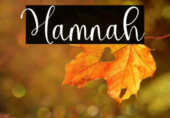 Hamnah Example 3