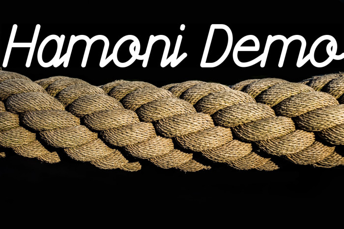 Hamoni Demo Example 2