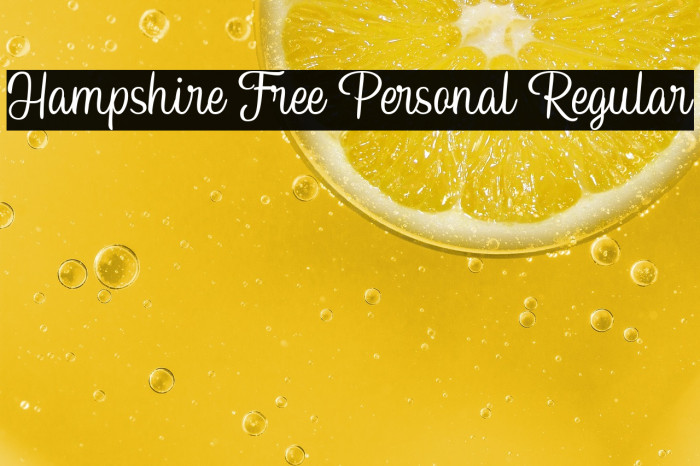 Hampshire Free Personal Regular Example 1