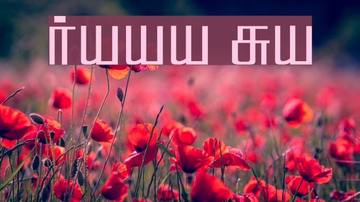 Hamsathvani Regular Font examples
