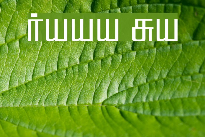 Hamsathvani Regular Font examples