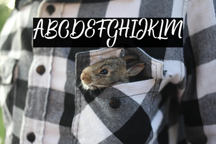 Hamsley Script Regular Example 1