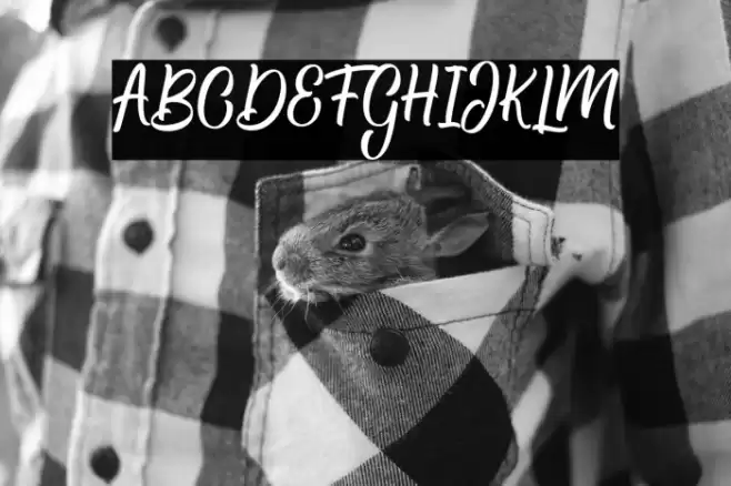 Hamsley Script Regular Font examples