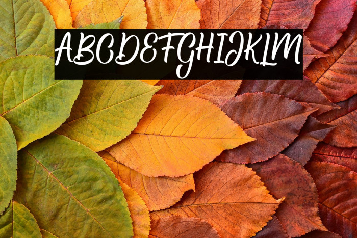 Hamsley Script Regular Example 2