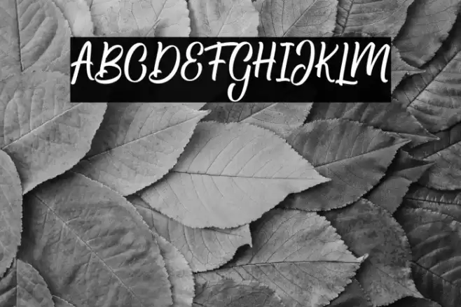 Hamsley Script Regular Font examples