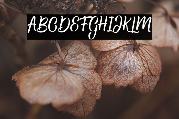 Hamsley Script Regular Example 3