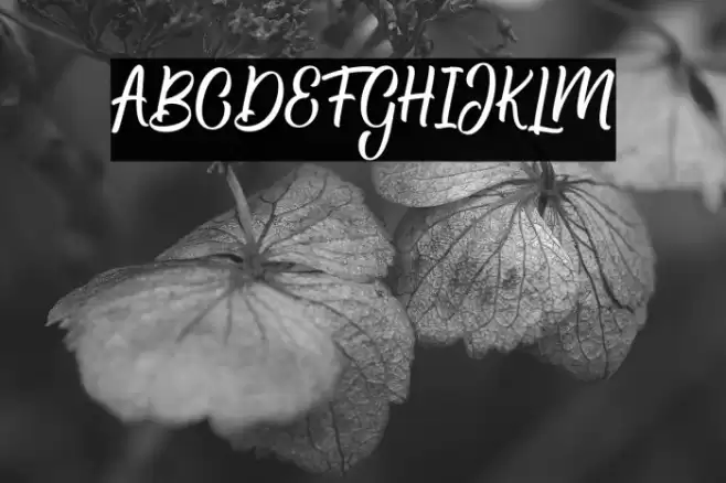 Hamsley Script Regular Font examples