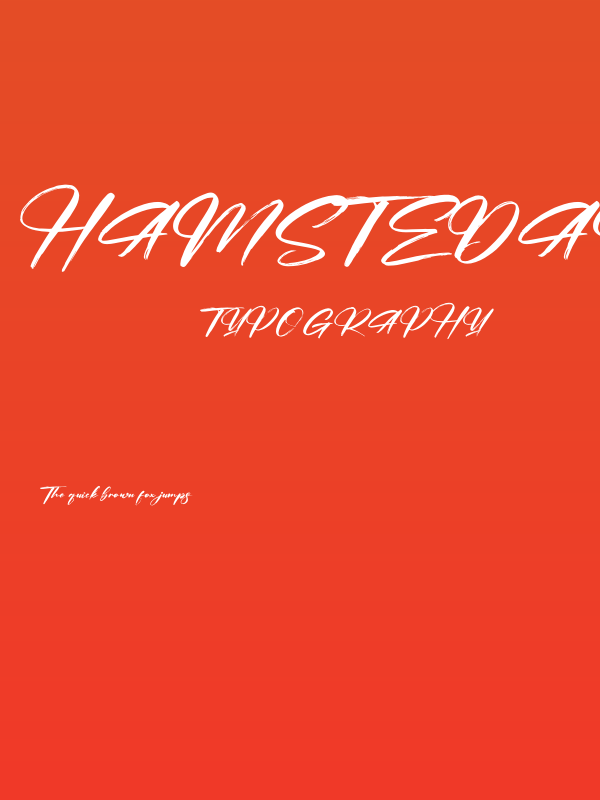 Hamstedam Poster