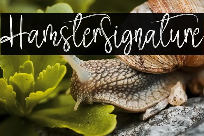 Hamster Signature Example 2