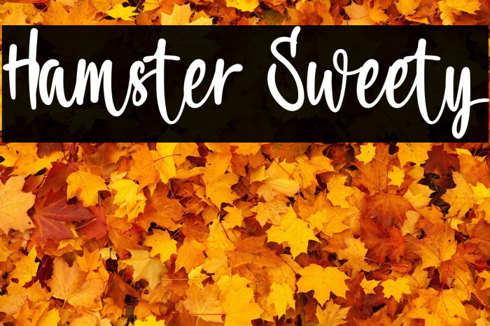 Hamster Sweety Example 3