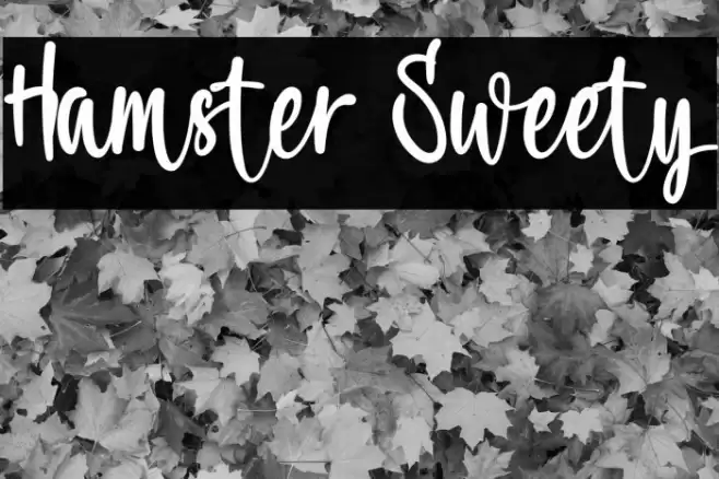 Hamster Sweety Caratteri examples