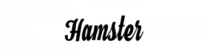Hamster  免费字体下载
