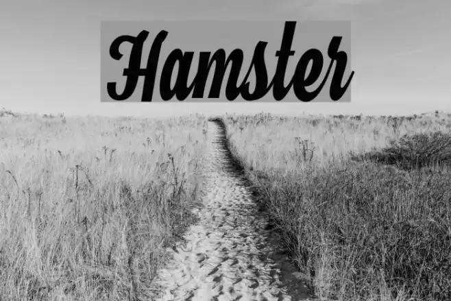Hamster Font examples