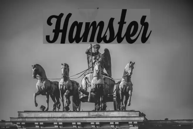 Hamster Font examples