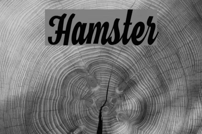 Hamster Font examples