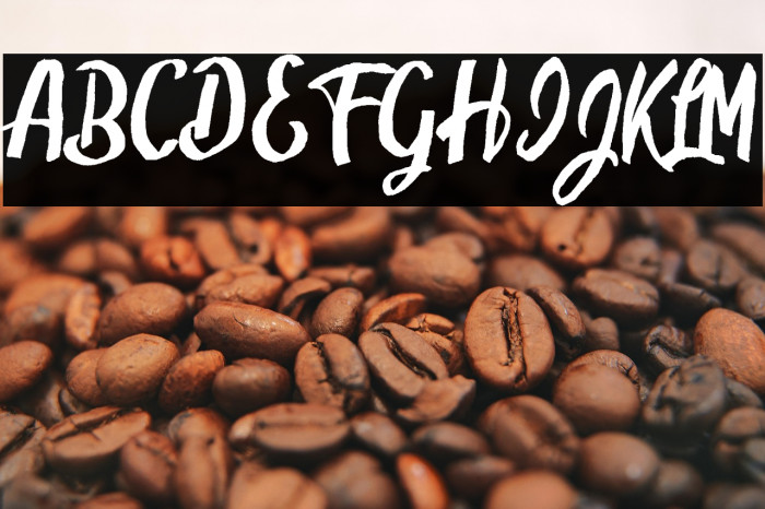 Hamsters Personal Use  Example 2