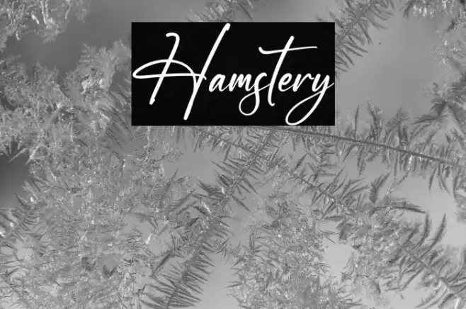 Hamstery Caratteri examples