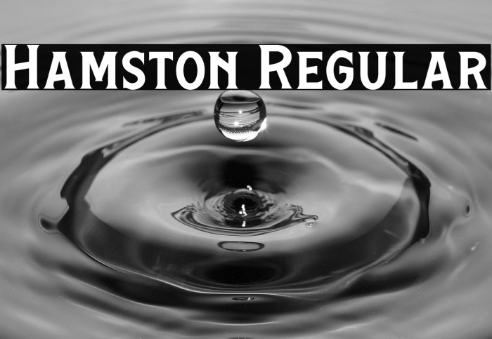 Hamston Regular Example 1