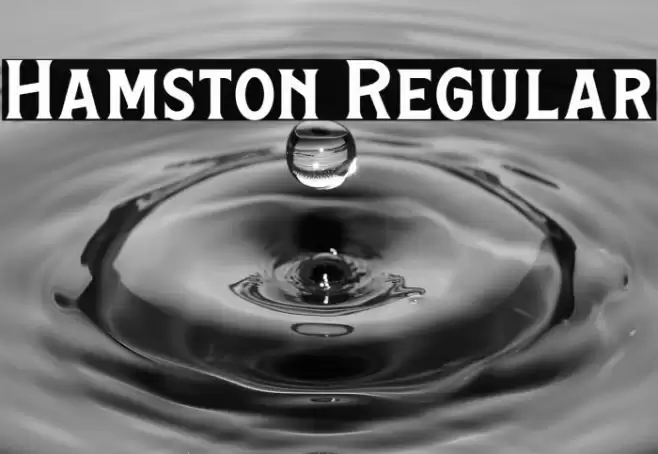 Hamston Regular Font examples