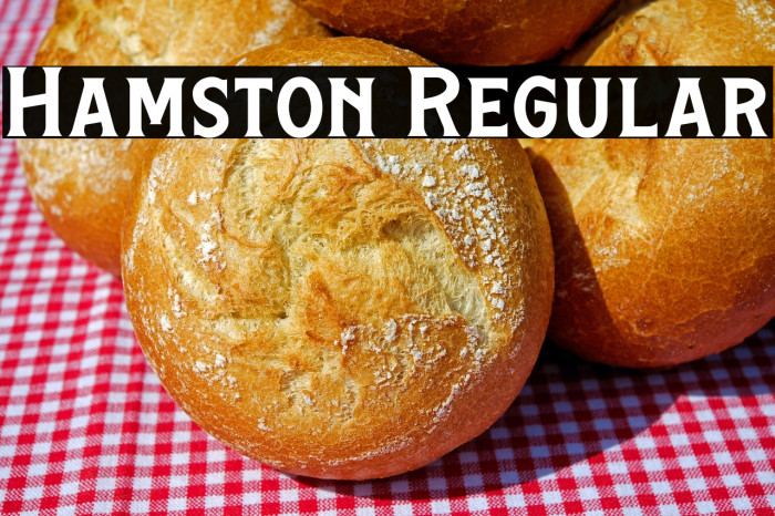 Hamston Regular Example 2