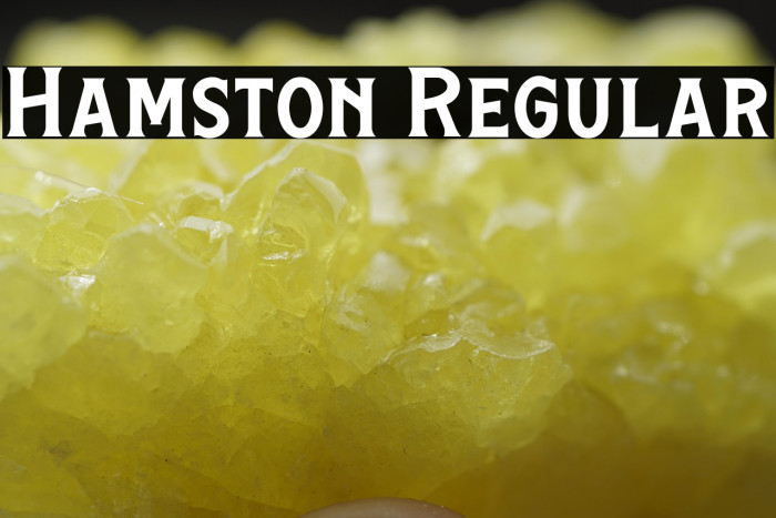 Hamston Regular Example 3