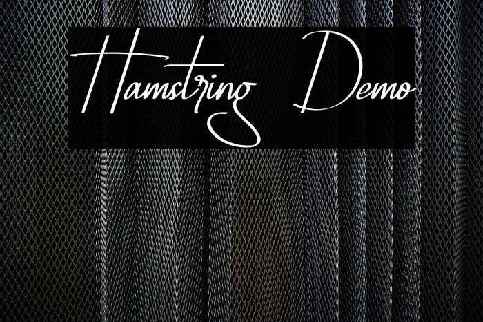 Hamstring Demo फ़ॉन्ट examples