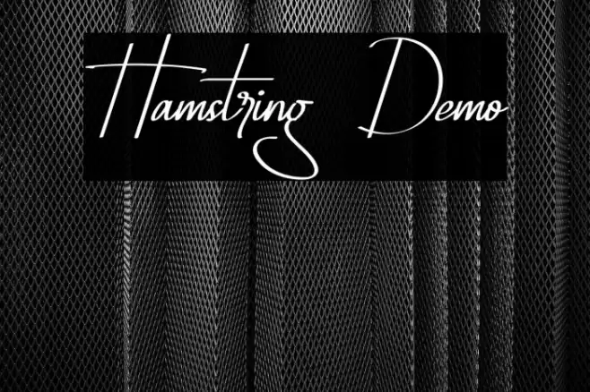 Hamstring Demo Font examples