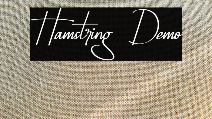 Hamstring Demo फ़ॉन्ट examples