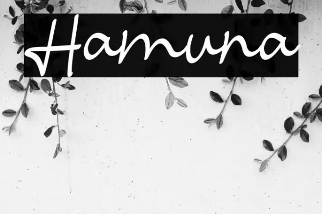 Hamuna Font examples