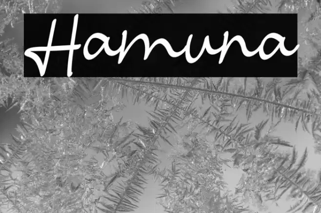 Hamuna Font examples