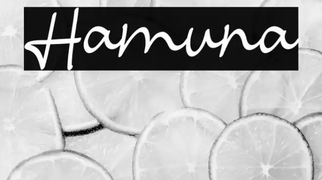 Hamuna Font examples