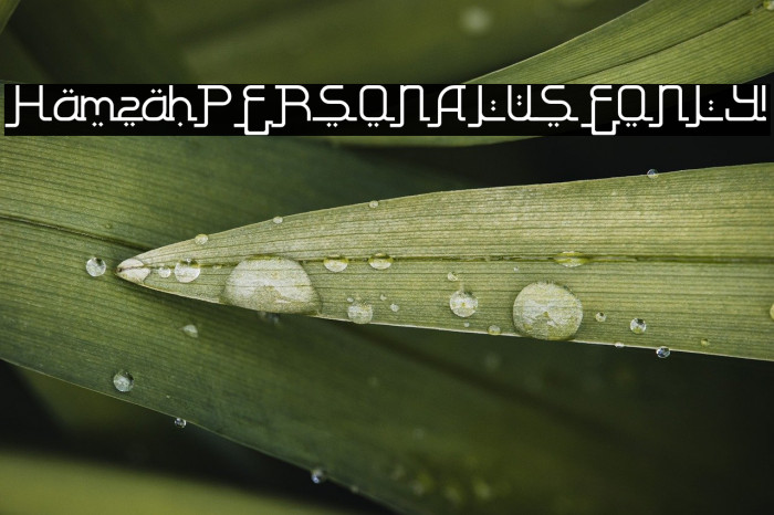 Hamzah PERSONAL USE ONLY! Example 2