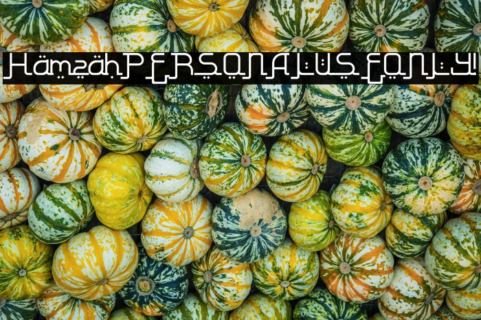 Hamzah PERSONAL USE ONLY! Example 3