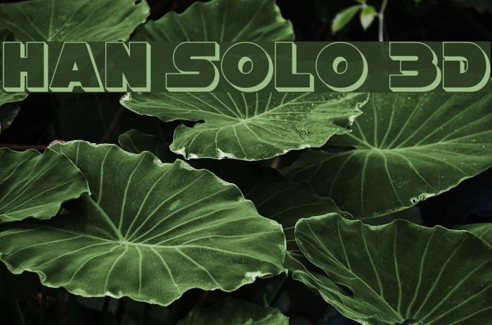 Han Solo 3D Font examples