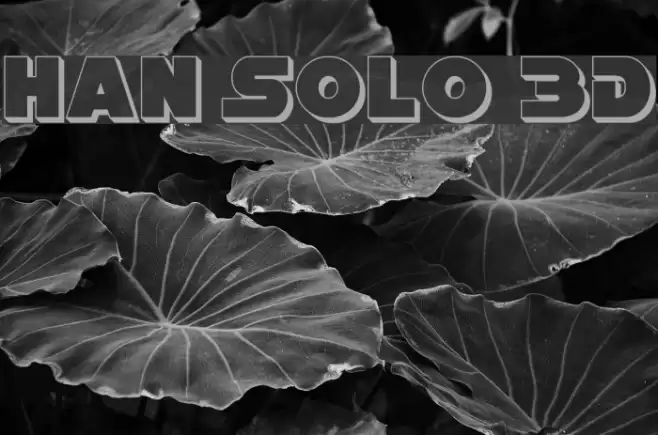 Han Solo 3D examples