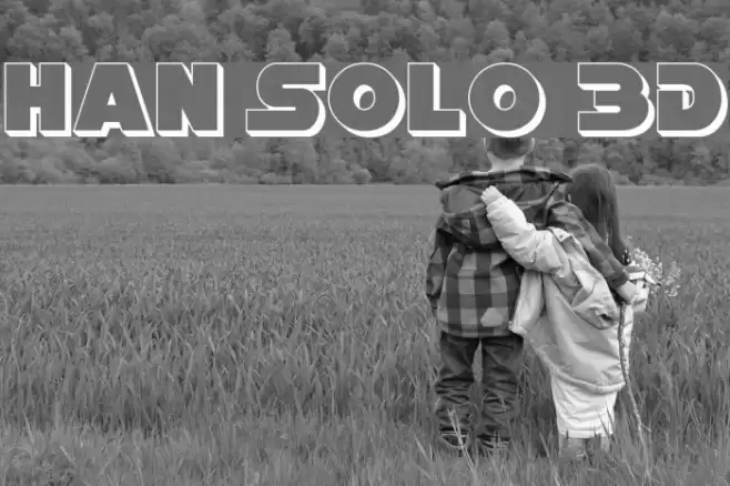 Han Solo 3D examples