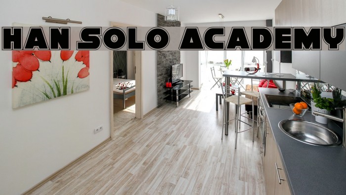 Han Solo Academy Example 2