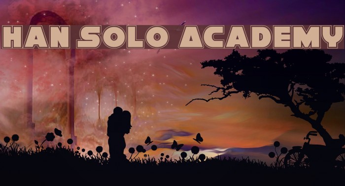 Han Solo Academy Example 3