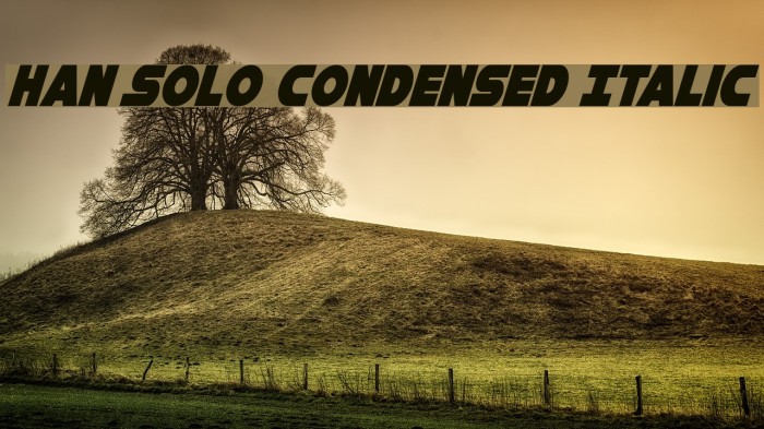 Han Solo Condensed Italic Font examples