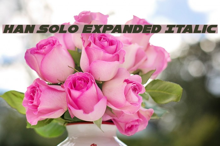 Han Solo Expanded Italic Font examples